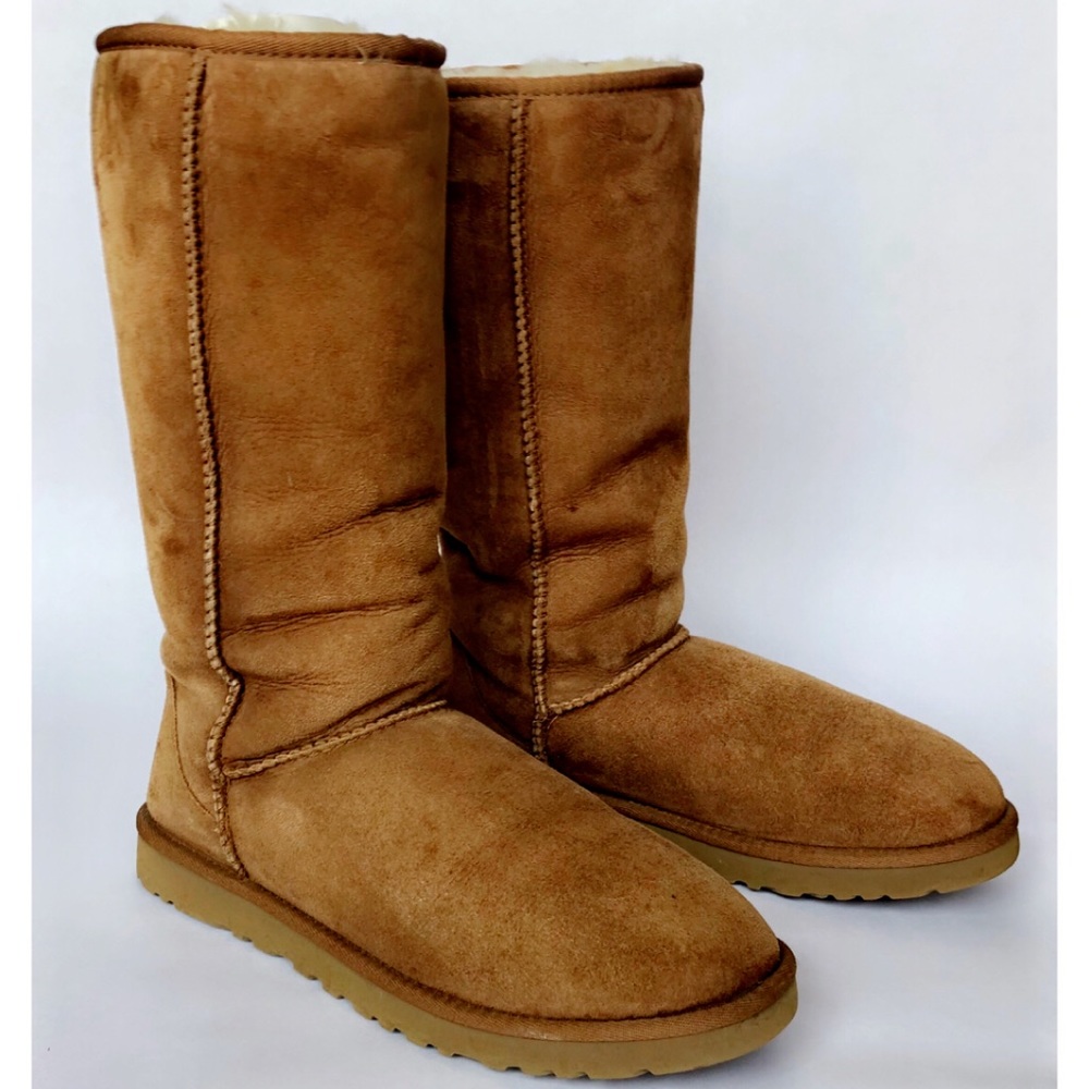 Tall Chestnut Uggs